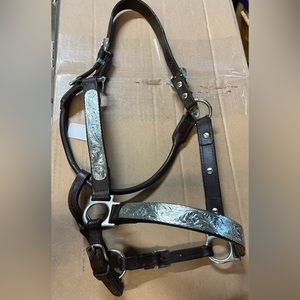 Circle Y Horse Show halter